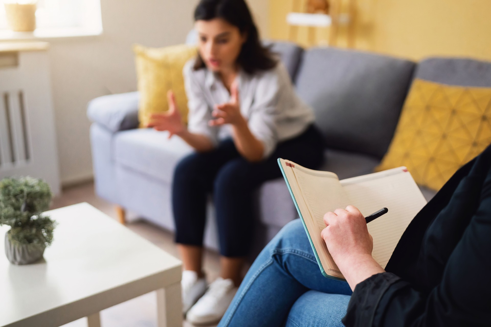 Female psychotherapist writing down notes, during therapy with female patient